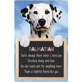 Image of Faithful Friends DALMATIAN 3D SIGN