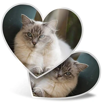 Image of 2 x Heart Stickers 7.5 cm Ragdoll Cat Kitten Cats Cute 2285