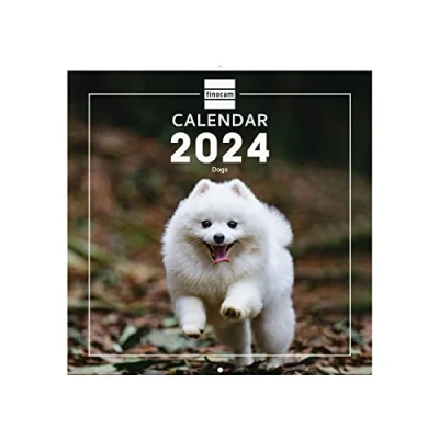 Image of Finocam Dogs International Wall Photo Calendar 2024 January December (12 months)