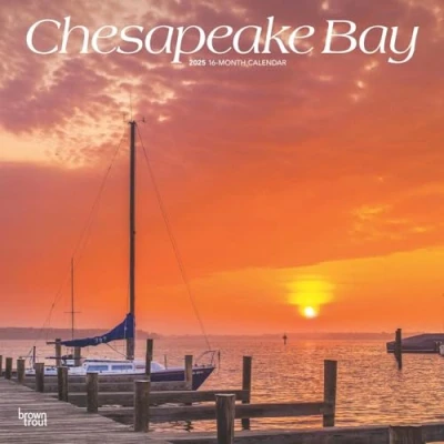 Image of Chesapeake Bay 2025 12 x 24 Inch Monthly Square Wall Calendar Plastic Free BrownTrout USA United States of America Scenic Nature Ocean Sea Coast