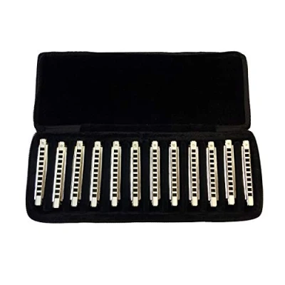 Image of East top Harmonica set of 12 Pack 10 Holes Professional Diatonic Blues Harmonicas, Keys Harp mouth organ T008 Harmonicas for Adults