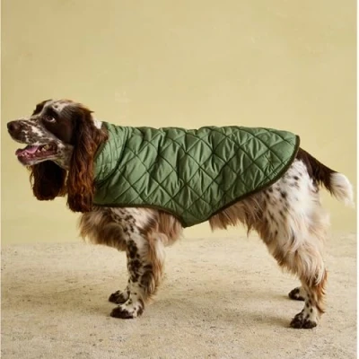 Image of Rosewood Joules Khaki Quilted Coat for Dogs, Large, Washable, Lightweight, Warm Winter Dog Coat/Jacket Large Dogs
