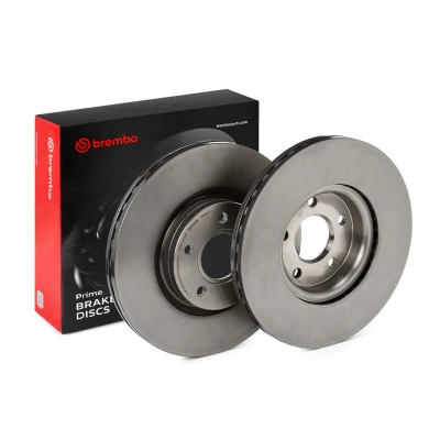 Image of 1797226, 1825134, 1829606, DV611125CA, DV611125DA Brake disc BREMBO 09.C541.11 300mm 25mm 5 internally vented Coated High carbon