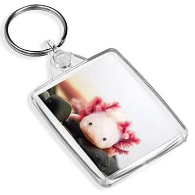 Image of 1 x Axolotl Aquarium Dragon Fish Keyring IP02 Mum Dad Kids #3066