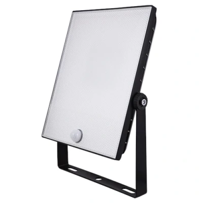 Image of ESP LED Security Light with Sensor 50W Black