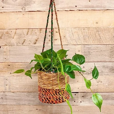 Image of Wildlife World Artisan Hanging Plant Basket Medium Cylindrical Plants Not Included