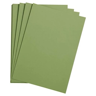 Image of Clairefontaine Ref 90796C Etival Coloured Grained Drawing Paper (Pack of 25 Sheets) A3 (42 x 29.7cm) 160gsm Cellulose Art Apple Green Acid Free, pH Neutral