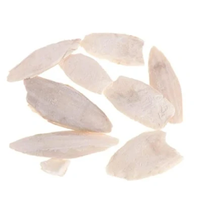 Image of Bemvp Cuttlebone Pet Chew Toys Chewing Cuttlefish for Parakeets Budgies and Canaries Tortoises Turtles Snails Terrapins