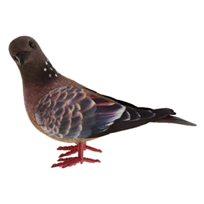 Image of Baoblaze Animal model, pigeon artificial feather figurine, educational toy interior, approx. 13 x 5 8 cm
