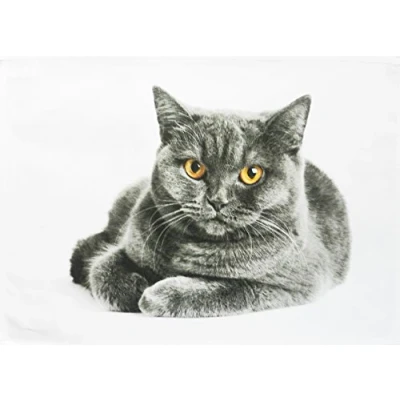 Image of Half a Donkey The Grey Cat Large Cotton Tea Towel