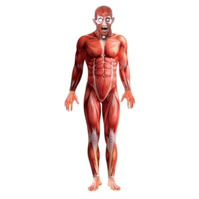 Image of Human Anatomy costume adults L