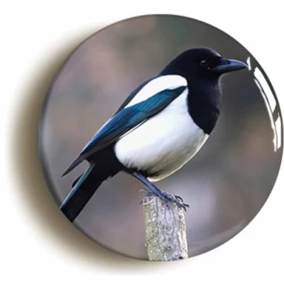 Image of Magpie Fridge Magnet (Circular 2inch / 50mm Diameter)
