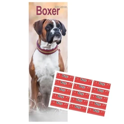 Image of Boxer Calendar 2025 Slimline with FREE Organisational Stickers