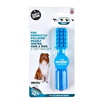 Image of TastyBone TastyBrush Dental Nylon Dog Chew Toy (Spearmint) Strong Healthy Teeth &amp; Gums, Indestructible for Aggressive Chewers, Everlasting Flavour, Made in the UK