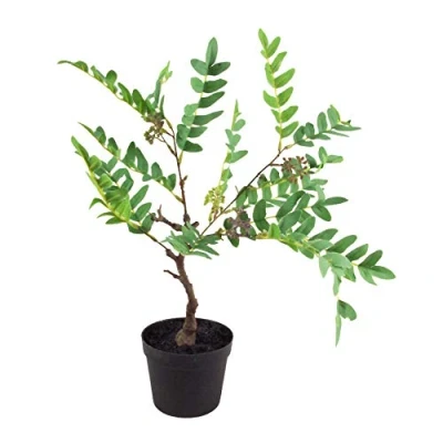 Image of Leaf Artificial Fern Plant with Pot, Evergreen Berries, 50cm