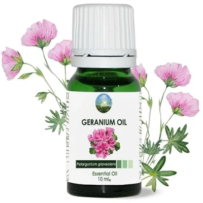 Image of NPOW Geranium Essential Oil Oils for Diffusers Home, Geraniums Aromatherapy Mix, Candle Making, Diffuser 10ml
