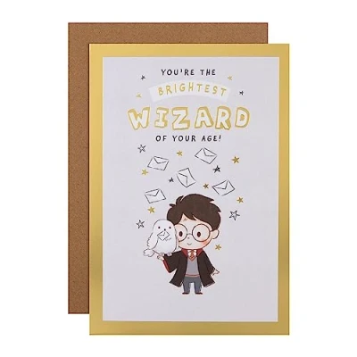 Image of Hallmark Birthday Card Harry Potter &amp; Hedwig Owl Design with Maze Activity