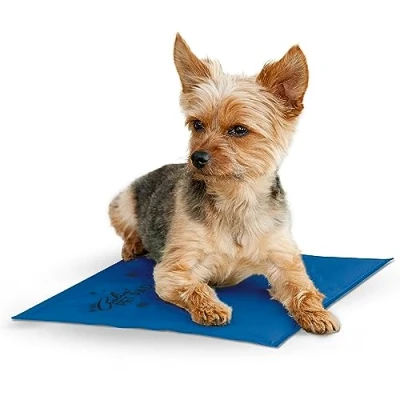 Image of K&amp;H Coolin&#039; Pet Pad for Dog, Small