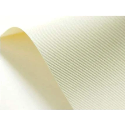 Image of Netuno 20 Sheets Ivory Ribbed Textured Cardboard DIN A4 210x297mm 8.27x11.69″ 246gsm Elfenbens Chamois Embossed Paper for Printing Wedding Invitations Cards certificates Diplomas menu Books RSVP