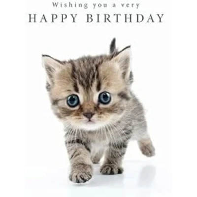 Image of Piccadilly Greetings Wishing you a very Happy Birthday Card Tabby Kitten 8 x 6 inches