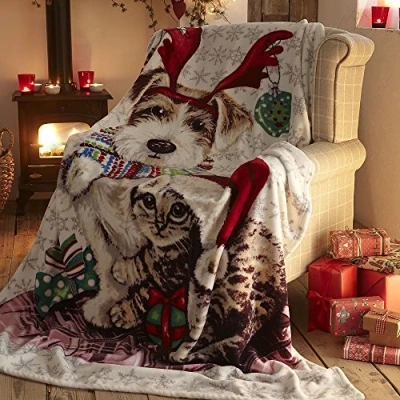 Image of Festive Collection Ivy and Snowy Fleece Blanket, Multi, 130 x 170 Centimetre