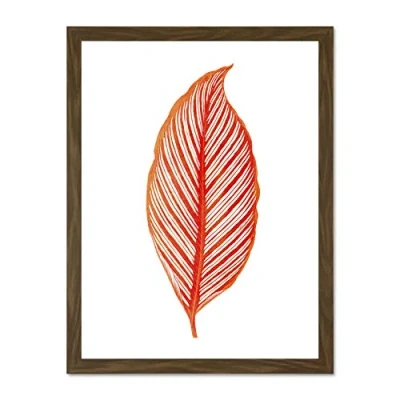 Image of Wee Blue Coo Botanics Red Orange Stripes Large Brown Framed Art Print Wall Poster 18x24 inch