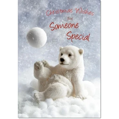 Image of doodlecards Someone Special Christmas Card Medium Size with Plain Envelope