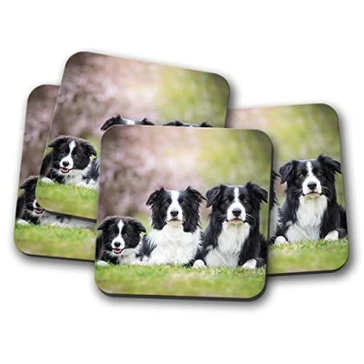Image of 4 Set Border Collie Family Coaster Puppy Dog Sheepdogs Farmer Fun #8625