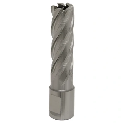 Image of Worksafe Rotabor Cutter HSS Ø17mm Cut Depth 50mm