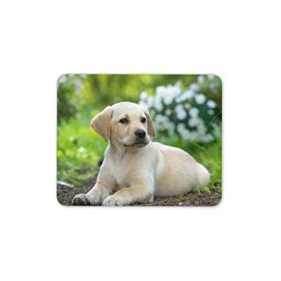 Image of Destination Vinyl ltd Cute Labrador Puppy Mouse Mat Pad Dog Dogs Golden Retriever PC Computer #8396