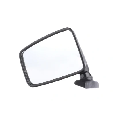 Image of 7701348989 Wing mirror ALKAR 6101209 Left Manual Convex RENAULT: 4 Estate, Van