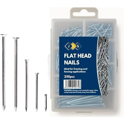 Image of JKG® 250 Assorted Nails for Wood Iron Set Masonry Nails, Hanging Pictures Small, Medium, Long DIY Panel Pins Flat Headed Woodwork &amp; Home Decor Construction (In Plastic Case)