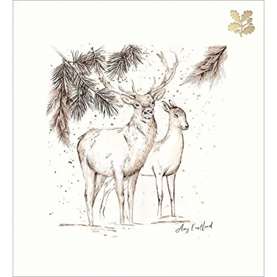 Image of Pack of 5 National Trust Stag &amp; Doe Charity Christmas Cards Foiled Xmas 493874