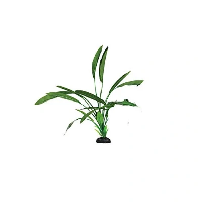 Image of Cryptocorne Green Silk Like Plant 50cm by KenKoi