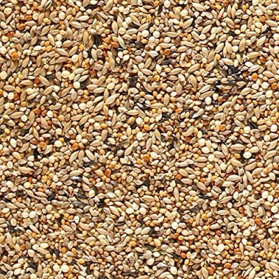 Image of Johnston &amp; Jeff ABZ Seed For Finches, 20 kg