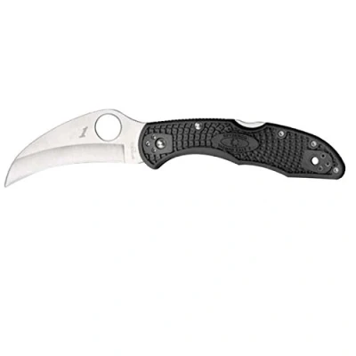 Image of Spyderco C106PBK2 Tasman Salt 2 Plain black