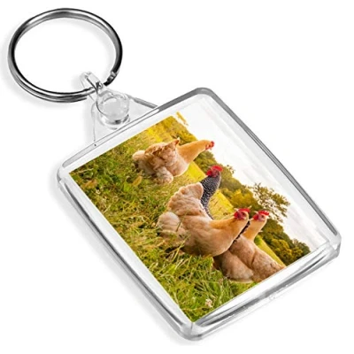 Image of Destination Vinyl Keyrings Wild Chickens Animal Farm Keyring IP02 Nature Outdoor #16908