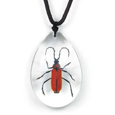 Image of Real Red Longhorned Beetle Necklace CLEAR BLOCK Insect Specimen PENDANT SIZE 45 x 31mm SD0912