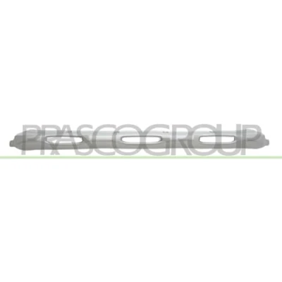 Image of 620724935R Trim /Protection Strip, bumper PRASCO DA7341245 Front