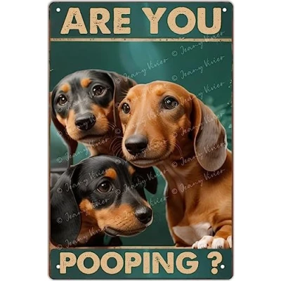 Image of Funny Metal Signs Dachshund are You Pooping Restroom Bathroom Wall Decor Dog Lovers Gift Vintage Room Aesthetic Art Tin Sign for 12x8 Inch