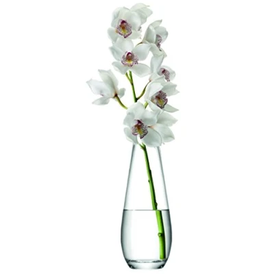 Image of LSA Flower Tall Stem Vase H29cm Clear 1 Unit Mouthblown &amp; Handmade Glass FW07
