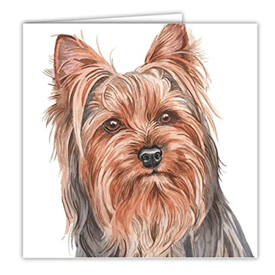 Image of Maturi Blank Greeting Card with Water Colour Yorkshire Terrier Dog Image Multi Coloured 441032