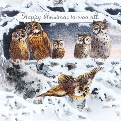 Image of Museums &amp; Galleries Artistic Christmas Card For All of You &#039;To Woo All&#039; Owl Family Illustration From the V&amp;A Range