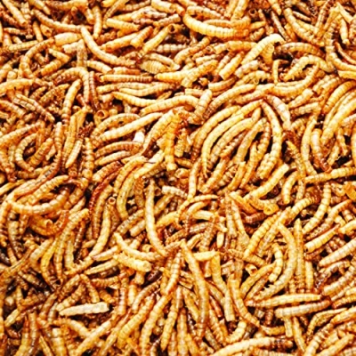 Image of UK GROW 10L Premium value Dried Mealworms 10 litres (10L)
