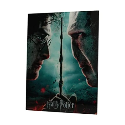Image of SD toys Harry Potter and Voldemort Poster, Multicoloured, 41 x 31 3 cm