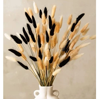 Image of Bunny Tails Pampas Grass Dried Flowers Bouquet 100 stems 30 White Tails, 40 Natural Tail Grass, Black Boho Decor Small Pampass For Cakes Vase Plant