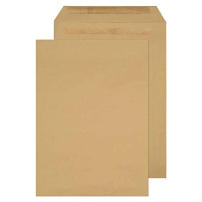 Image of Blake Purely Everyday C3 450 x 324 mm Pocket Self Seal Envelope Manilla (Pack of 125)