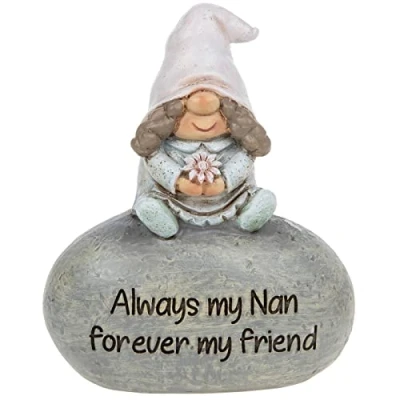Image of Shudehill Pebble Gonk Nan, Always my forever friend