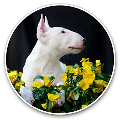 Image of 2 x Heart Stickers 10 cm English Bull Terrier Puppy Dog Fun Decals for Laptops,Tablets,Luggage,Scrap Booking,Fridges #21500