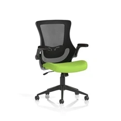 Image of Orbit Black Mesh Back Chair Bespoke Colour Seat Myrrh Green